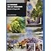 Le monde de la couleur illustr� � l'aquarelle