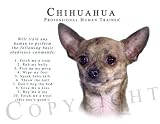Chihuahua Human Trainer Mouse Pad Dog Mousepad