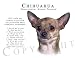 chihuahua1  - Chihuahua Human Trainer Mouse Pad Dog Mousepad
