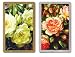 Congress Cabbage Roses Standard Index Playing Cards