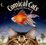 Comical Cats 2008 Wall Calendar