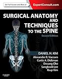 Advanced reconstruction: spine