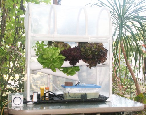 Hydroponic Mini Greenhouse System