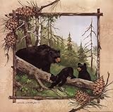 Black Bears IV Beautiful MUSEUM WRAP CANVAS Print with Added BRUSHSTROKES Anita Phillips 12x12