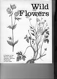 Wild flowers