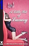 A little bit of luxury : a collection of five erotic stories