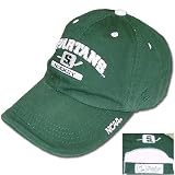 Michigan State Spartans Hockey Zephyr Chopper Cap