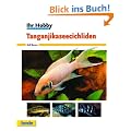 Tanganjikaseecichliden, Ihr Hobby