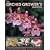 The Orchid Grower's Handbook: Step-by-step Advice for Gardening Indoors and Out, in 300 Clear Photographs