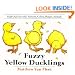 Fuzzy Yellow Ducklings