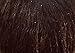 Brown Faux Fake Pirate Buccaneer Old Man Beard