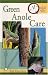 Book Quick & Easy Green Anole Care (Quick & Easy)