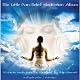 The Little Pain-Relief Meditation