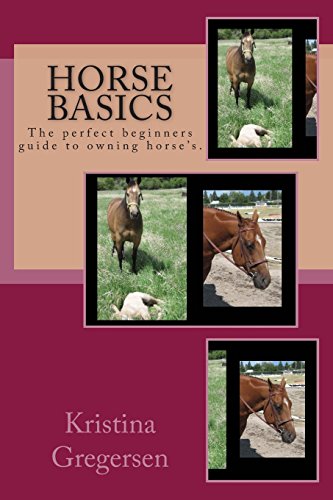 horse basics