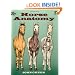 Horse Anatomy Coloring Book (Dover Pictorial Archive)