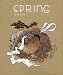 SPRING #3: special places bei Bücher zum Namen: 510bF8fSBNL._SL75_