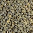 Green Lentils (A.O.C. Le Puy France) by ChefShop