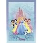 Disney: Princess - Poster (Size: 27" x 39")