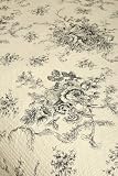 Ballard French Country Black Toile Queen Quilt