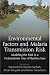Environmental Factors and Malaria Transmission Risk: Modeling the Risk in a Holoendemic Area of Burkina Faso