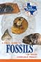 A Field Guide to Fossils of Texas (Gulf Publishing Field Guide Series)