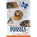 A Field Guide to Fossils of Texas (Gulf Publishing Field Guide Series)
