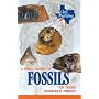 A Field Guide to Fossils of Texas (Gulf Publishing Field Guide Series)