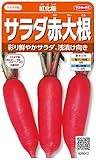 サカタのタネ 実咲野菜5012 紅化粧 サラダ赤大根