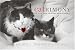 Catrimony: The Feline Guide to Ruling the Relationship