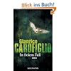 In freiem Fall: Roman
