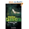 In freiem Fall: Roman