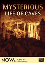 Lowest Price on Mysterious Life of Caves - NOVA.
