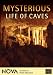 DVD : Mysterious Life of Caves - NOVA