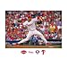 MLB Philadelphia Phillies Roy Halladay Mural Wall Graphic