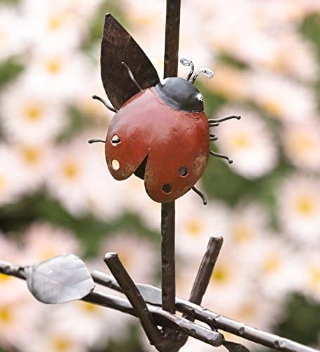 Decorative Iron Fence With Bird And Ladybug Details
