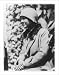 Historic Print (S): [Anne (Morrow) Lindbergh, half-length portrait, facing left]