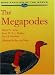 Books : The Megapodes: MegaPodiidae (Bird Families of the World)