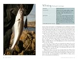 picture of Sea Fishing (River Cottage Handbook)