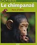 Le chimpanz� : Plein d'id�es