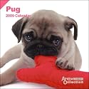 2009 Pugs ARTLIST Mini 7x7 Wall Calendar