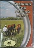 Training the Driving Horse 