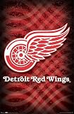 DETROIT REDWINGS POSTER TEAM LOGO 2 NHL HOCKEY NEW 4117