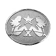 Silver Star "Trucker Girl" Chrome Metal Belt Buckle