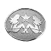 Silver Star "Trucker Girl" Chrome Metal Belt Buckle