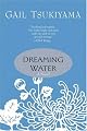 Dreaming Water
