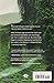 Doon (A Doon Novel)
