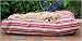 Indoor Outdoor Bed - 27 in. x 36 in. - Red