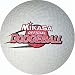 Mikasa Official Dodgeball