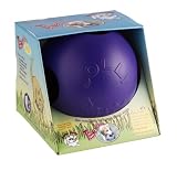 Jolly Pet 8 Teaser Ball Purple