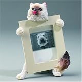 Himalayan Cat Picture Frame (2 1/2 X 3 1/2)